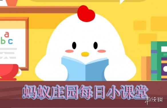 机玩-森林舞会游戏电玩城不朽情缘网站森林舞会游戏