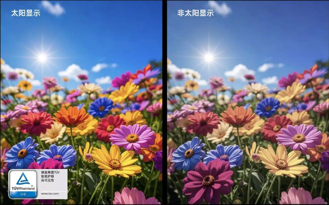 2299元起的性能猛兽游戏体验新标杆不朽情缘游戏平台一加Ace5评测(图3)