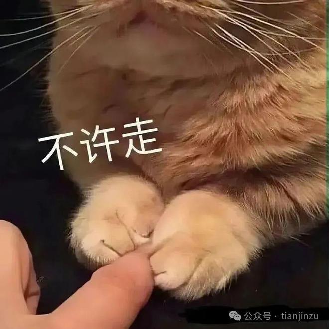 停止运营！曾经火爆全网……mg不朽情缘游戏登录入口(图6)